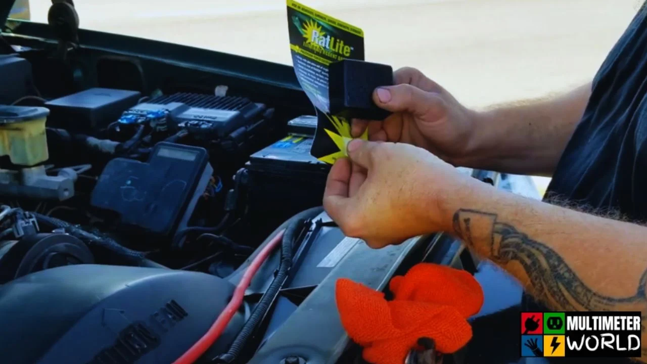 _Keep Rats Out of Car Wiring