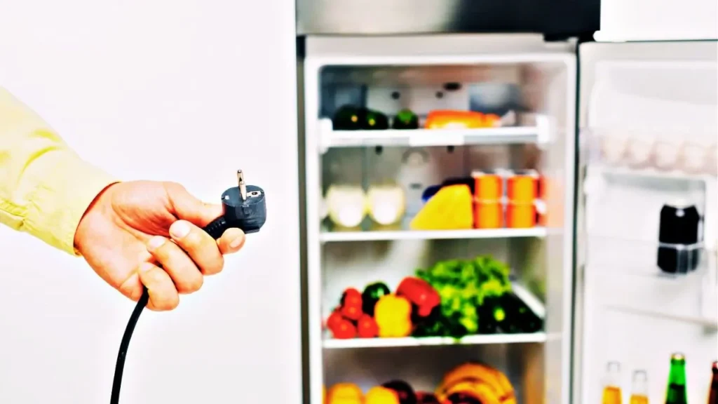 Unplug the Refrigerator and Disconnect Power