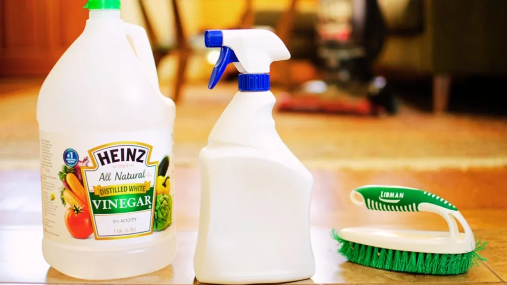 Use Ant Repellents or Natural Deterrents